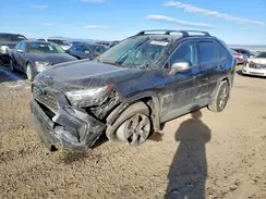 4T3MWRFV0RU135012 2024 TOYOTA RAV 4