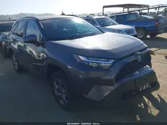 4T3MWRFV0RU142123 2024 TOYOTA RAV 4