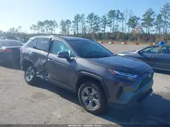 4T3MWRFV0RU154112 2024 TOYOTA RAV 4
