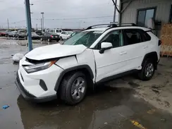 4T3MWRFV0RU154398 2024 TOYOTA RAV 4
