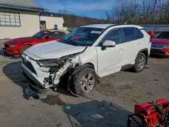 4T3MWRFV1RU116212 2024 TOYOTA RAV 4