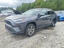 4T3MWRFV1RU120924 2024 TOYOTA RAV 4