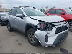 4T3MWRFV1RU133124 2024 TOYOTA RAV 4