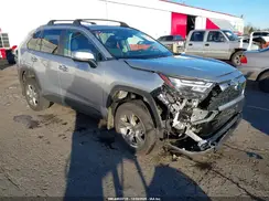 4T3MWRFV1RU144107 2024 TOYOTA RAV 4