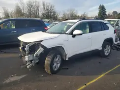 4T3MWRFV2MU042369 2021 TOYOTA RAV 4