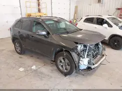 4T3MWRFV2PU103899 2023 TOYOTA RAV 4