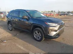 4T3MWRFV2RU152880 2024 TOYOTA RAV 4