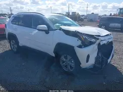 4T3MWRFV2RU155357 2024 TOYOTA RAV 4
