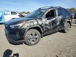 4T3MWRFV3RU138292 2024 TOYOTA RAV 4