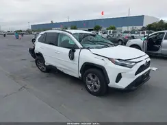 4T3MWRFV3RU142939 2024 TOYOTA RAV 4