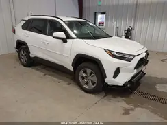 4T3MWRFV3RU154542 2024 TOYOTA RAV 4