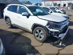 4T3MWRFV3RU156033 2024 TOYOTA RAV 4