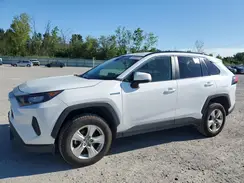 4T3MWRFV5MU017532 2021 TOYOTA RAV 4