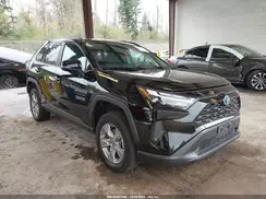 4T3MWRFV5PU082675 2023 TOYOTA RAV 4