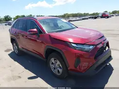 4T3MWRFV5PU108384 2023 TOYOTA RAV 4