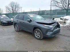 4T3MWRFV5RU113734 2024 TOYOTA RAV 4