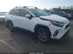 4T3MWRFV5RU131182 2024 TOYOTA RAV 4
