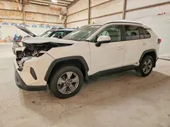 4T3MWRFV5RU154042 2024 TOYOTA RAV 4