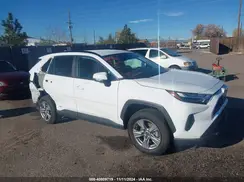 4T3MWRFV5RU156244 2024 TOYOTA RAV 4