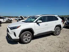 4T3MWRFV5RU156342 2024 TOYOTA RAV 4