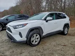 4T3MWRFV6MU038258 2021 TOYOTA RAV 4