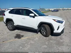 4T3MWRFV6RU128372 2024 TOYOTA RAV 4