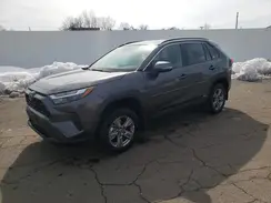 4T3MWRFV6RU145978 2024 TOYOTA RAV 4