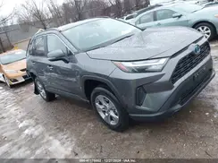4T3MWRFV6RU156186 2024 TOYOTA RAV 4