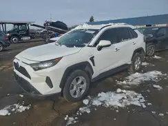 4T3MWRFV7MU027446 2021 TOYOTA RAV 4