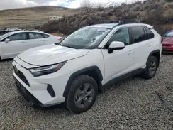 4T3MWRFV7RU130499 2024 TOYOTA RAV 4