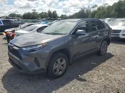 4T3MWRFV7RU135976 2024 TOYOTA RAV 4