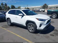 4T3MWRFV7RU141924 2024 TOYOTA RAV 4