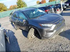 4T3MWRFV7RU152387 2024 TOYOTA RAV 4
