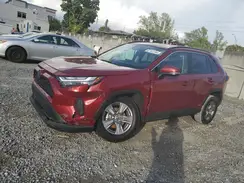 4T3MWRFV7RU162806 2024 TOYOTA RAV 4