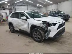 4T3MWRFV8RU117132 2024 TOYOTA RAV 4