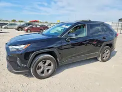 4T3MWRFV8RU133007 2024 TOYOTA RAV 4