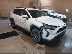 4T3MWRFV8RU133105 2024 TOYOTA RAV 4