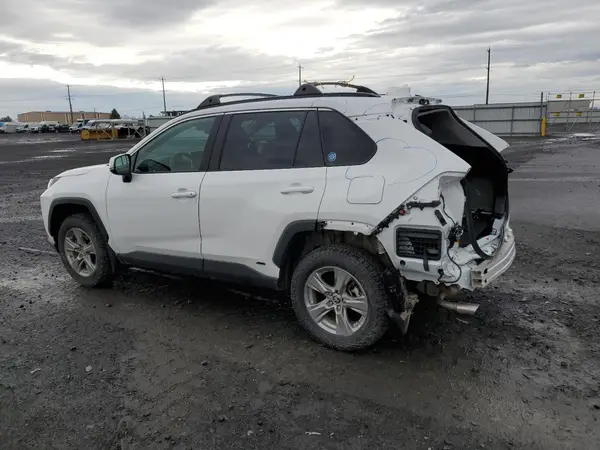 4T3MWRFV8RU139809 2024 TOYOTA RAV 4 - Image 2