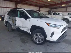 4T3MWRFV8RU141818 2024 TOYOTA RAV 4