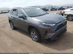 4T3MWRFV8RU153113 2024 TOYOTA RAV 4