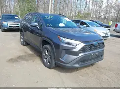 4T3MWRFV9RU132772 2024 TOYOTA RAV 4