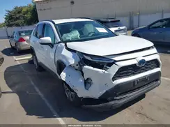 4T3MWRFV9RU143819 2024 TOYOTA RAV 4