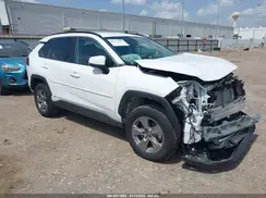 4T3MWRFV9RU150656 2024 TOYOTA RAV 4