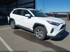 4T3MWRFV9RU152326 2024 TOYOTA RAV 4