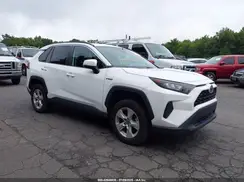 4T3MWRFVXMU019146 2021 TOYOTA RAV 4