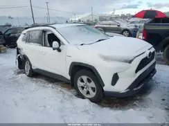 4T3MWRFVXMU028025 2021 TOYOTA RAV 4