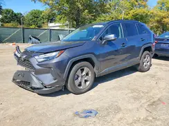 4T3MWRFVXPU090108 2023 TOYOTA RAV 4