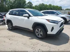 4T3MWRFVXRU127726 2024 TOYOTA RAV 4