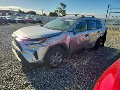 4T3MWRFVXRU136362 2024 TOYOTA RAV 4