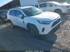 4T3MWRFVXRU158961 2024 TOYOTA RAV 4